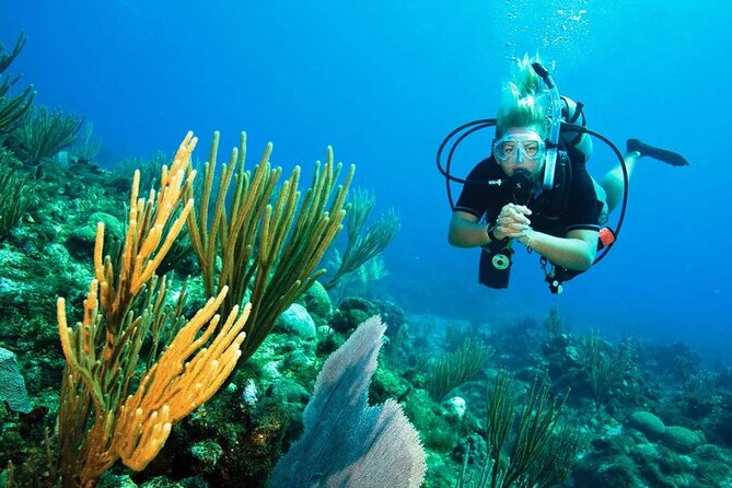 Pattaya PADI Beginner Scuba Diving One Try Dive Depth 6 Meters and Snorkeling ) - A Midday Rest and Hot Buffet Lunch