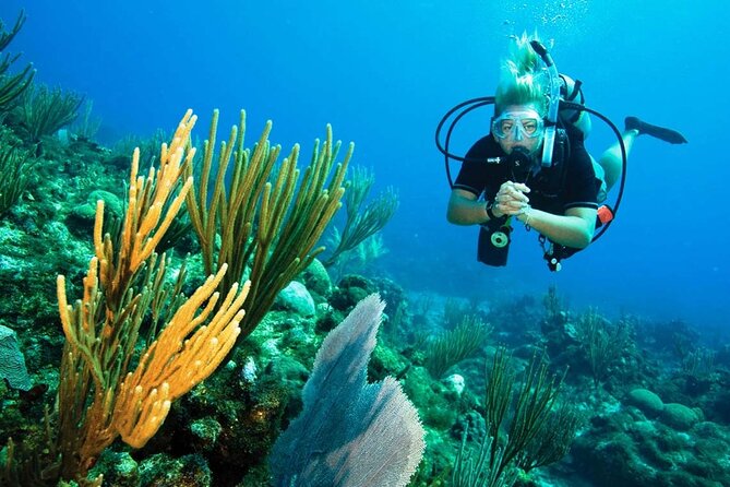 Pattaya PADI Scuba Diving Two Exciting Try Dives with PADI Instructor in Pattaya - What the first 40-minute reef session is like
