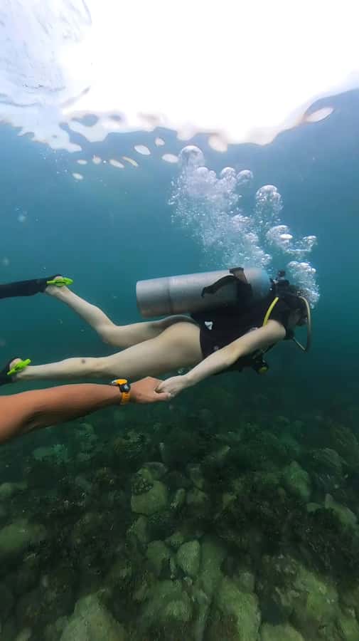 Pattaya: Snorkeling or Beginner Scuba Diving Tour with lunch - What the $83 price really covers