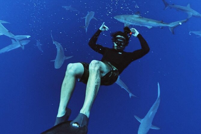Pelagic Shark Dive Tour - The ride to Oahu’s shark grounds