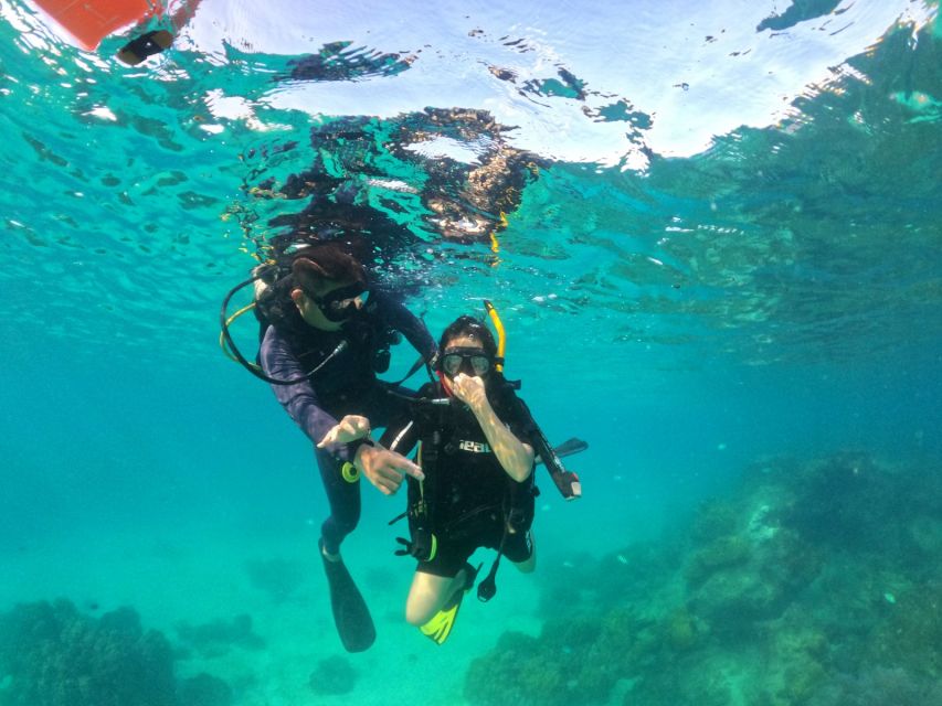 Phu Quoc: Scuba Diving Experience for All Levels - Lunch on board from 11:00 to noon