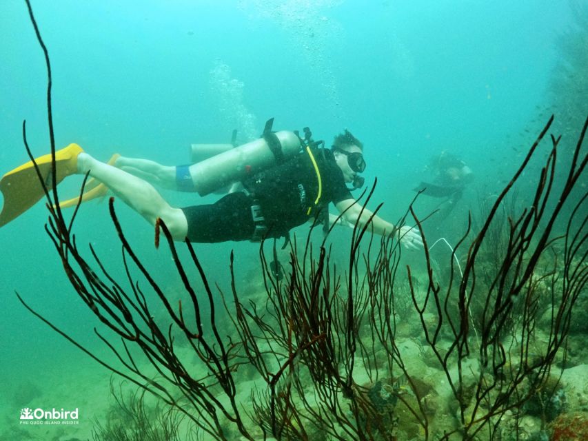 Phu Quoc: Scuba Diving Experience for All Levels - The second site at about 1 p.m.