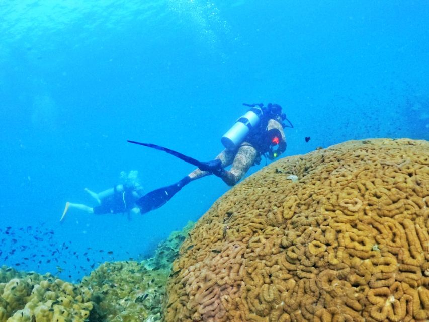 Phu Quoc: Scuba Diving Experience for All Levels - What the $102 price really covers