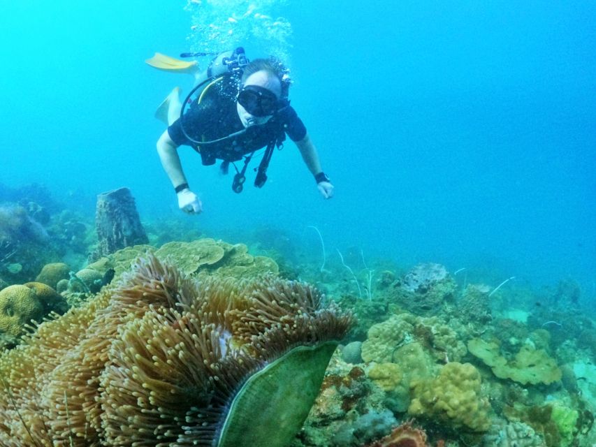 Phu Quoc: Scuba Diving Experience for All Levels - Practical ways to prepare