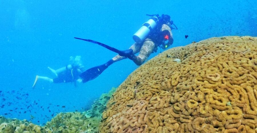 Phu Quoc: Scuba Diving Experience for All Levels - From hotel pickup to the pier at 7:30