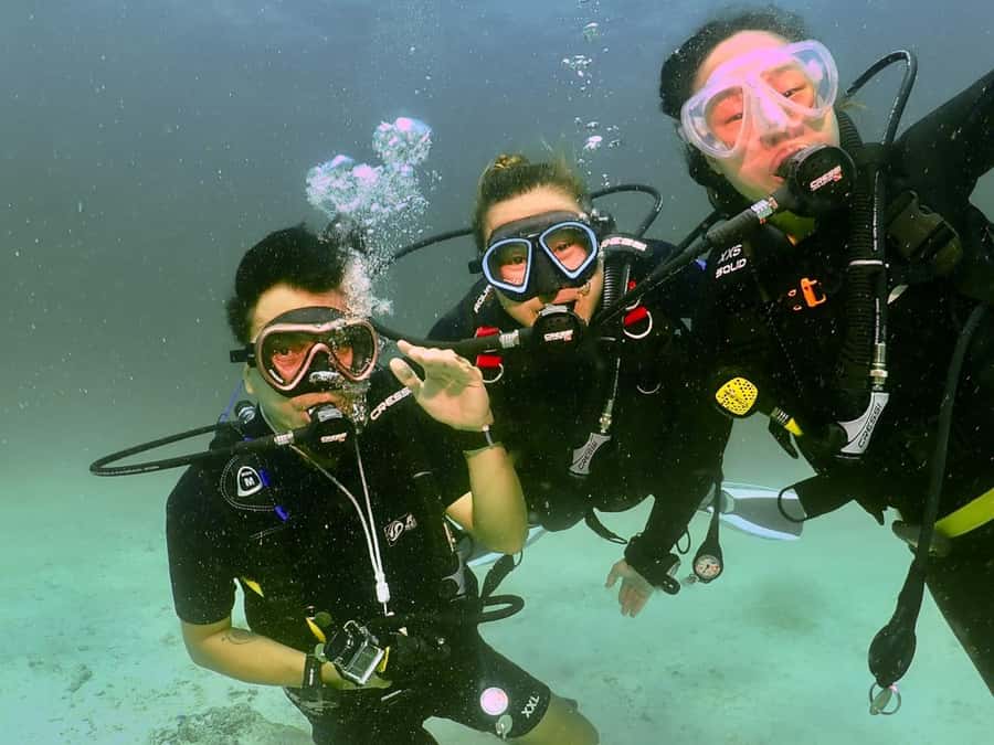 Phuket: 3 Dive Koh Phi Phi/Shark Point Scuba Diving Day Trip - The final 50-minute session at Shark Point