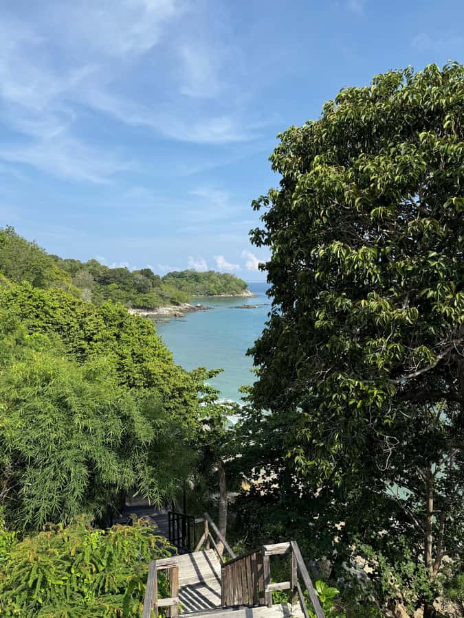 Phuket: Coral Reef Scuba Diving Experience at G Beach Club - The Reef, Snorkeling, and Marine Life