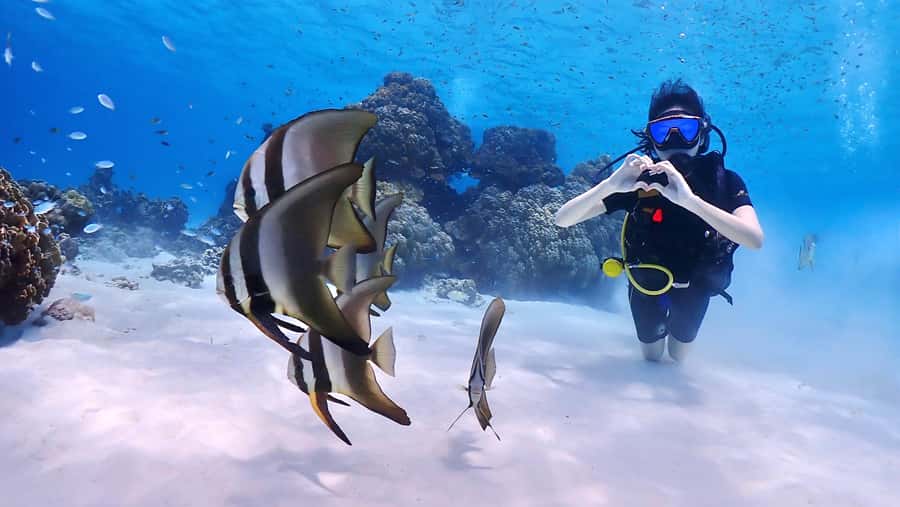 Phuket: Discover Scuba Diving to Racha Yai Island - The 90-minute ride to Racha Yai