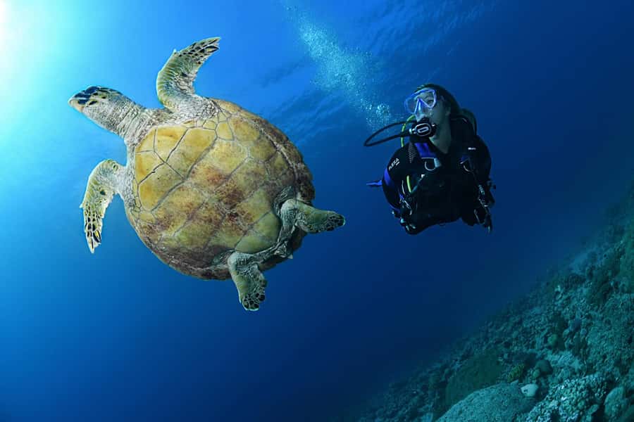 Phuket: Discover Scuba Diving to Racha Yai Island - Preparing for the first 45-minute session