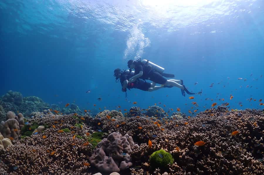 Phuket: Discover Scuba Diving to Racha Yai Island - Safety, age limits, and practical restrictions