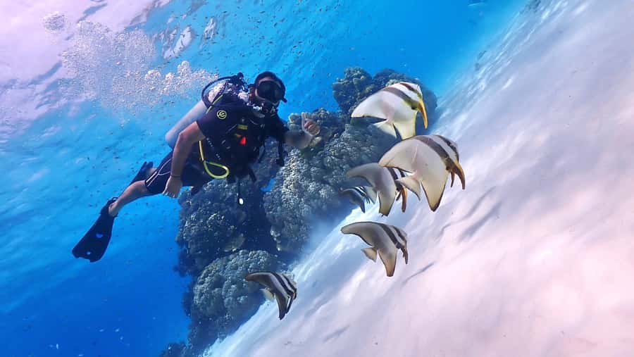 Phuket: Discover Scuba Diving to Racha Yai Island - Who should book this Phuket scuba experience