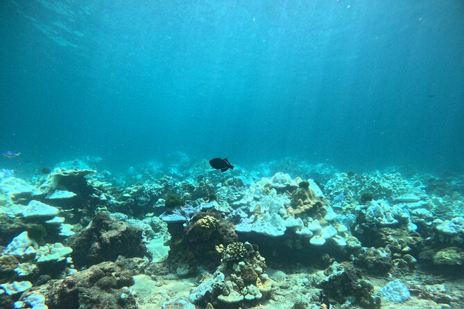 Phuket: PADI Discover Scuba Diving 1 beach dive - Who will get the most from this experience