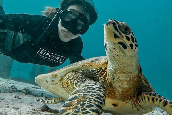 Phuket Phi phi Maya Bay Khai Island Diving Transfer & Buffet - Khai Nok Island finishes the water time