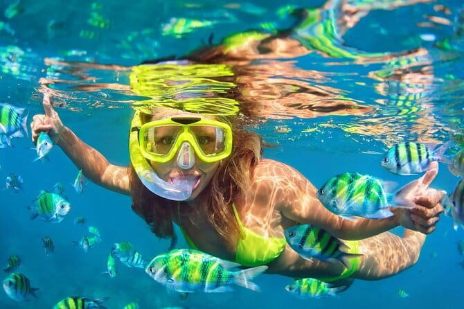 Phuket Phi phi Maya Bay Khai Island Diving Transfer & Buffet - Maya Bay and Loh Samah Bay before the crowds build