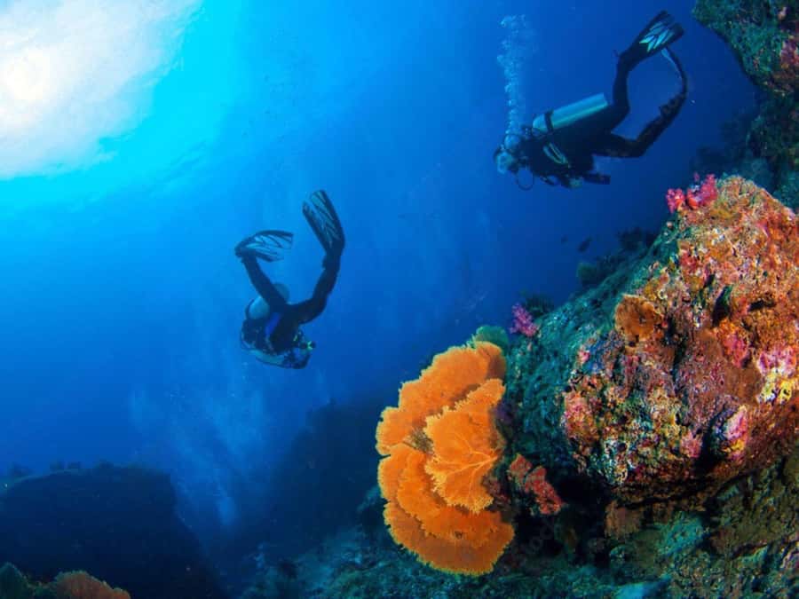 Phuket: Racha Island and Coral Islands + Scuba Beach Dive - What to bring for a smoother day