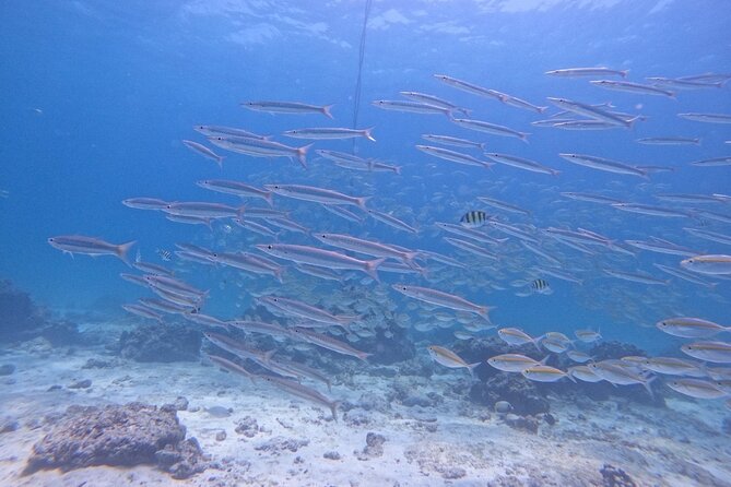 Phuket: Scuba Dive Racha and Coral Islands with Snorkeling Tour - Racha Yai gives first-timers a gentle start