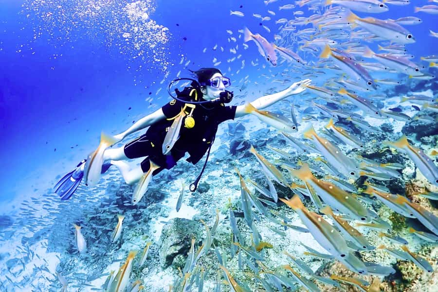 Phuket: Scuba Diving Maithon Or Racha Islands For All Levels - What you may see below the surface