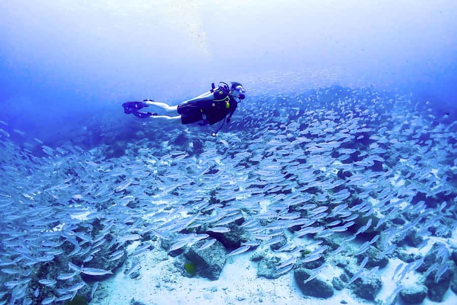 Phuket: Scuba Diving Maithon Or Racha Islands For All Levels - Transfers, timing, and extra costs