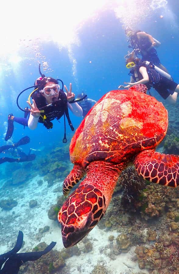 Phuket: Scuba Diving Maithon Or Racha Islands For All Levels - Who should book it, and who should think twice