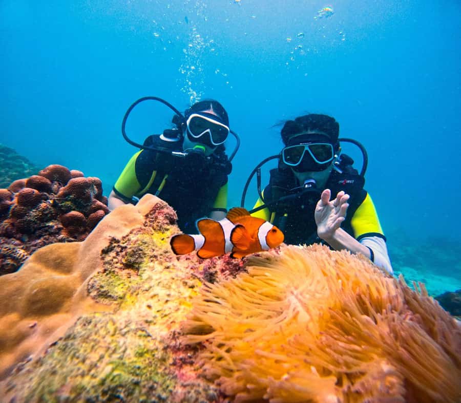 Phuket: Scuba Diving Maithon Or Racha Islands For All Levels - Photos, expectations, and small practical truths