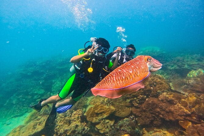 Phuket Scuba Diving Maiton Private Island Small Group or Snorkel - Key points to know before booking