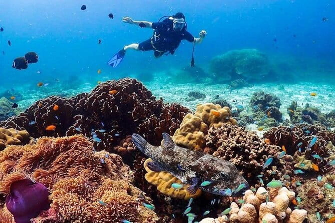 Phuket Scuba Diving Phi Phi Islands (Certified Divers Only) - Equipment, briefings, and instructor support