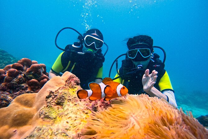 Phuket Scuba Diving: Racha Island Or Maiton Island For All Levels - Quick facts for choosing your Phuket sea trip