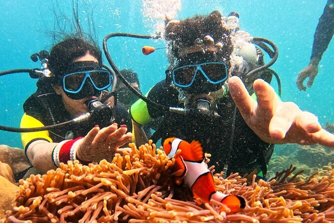 Phuket Scuba Diving: Racha Island Or Maiton Island For All Levels - Maiton Island or Racha Islands: the first choice to make