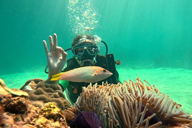 Phuket Scuba Diving: Racha Island Or Maiton Island For All Levels - Snorkeling makes this useful for mixed groups