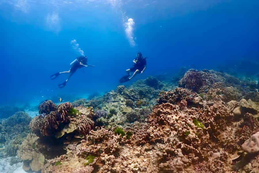 Phuket Scuba Diving Racha Islands 1-3 Dives For All Levels - Why the two-person group matters