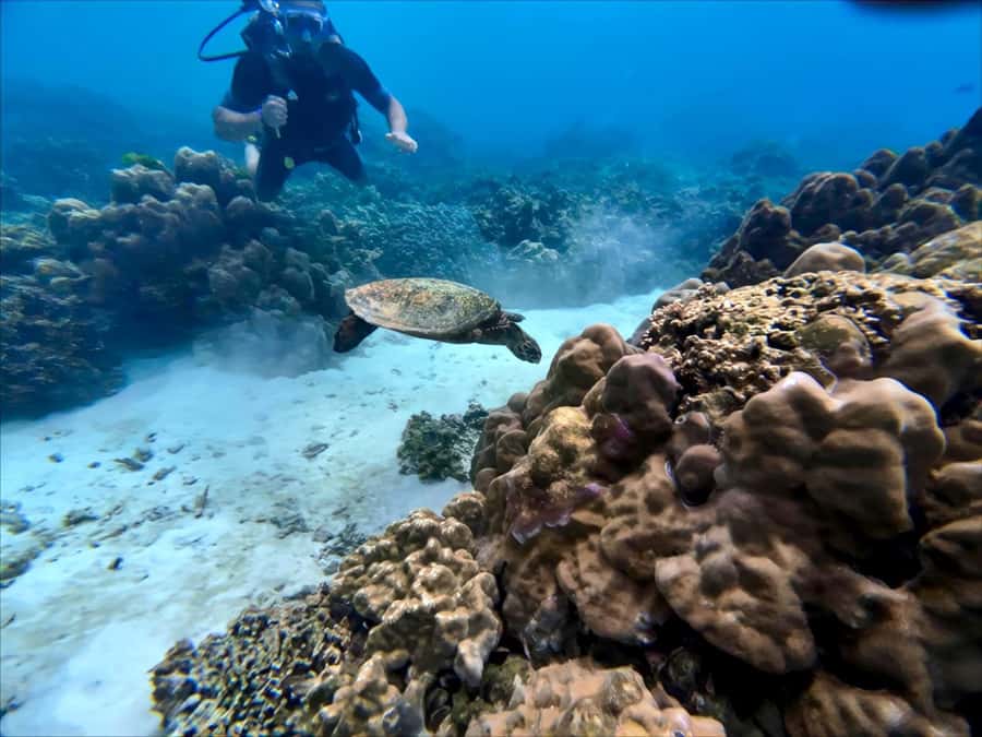 Phuket Scuba Diving Racha Islands 1-3 Dives For All Levels - Choosing the right package