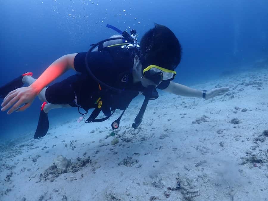 Phuket: Try SCUBA DIVING Full Day Experience 2 Dives - The 10-hour schedule, from hotel pickup to Chalong