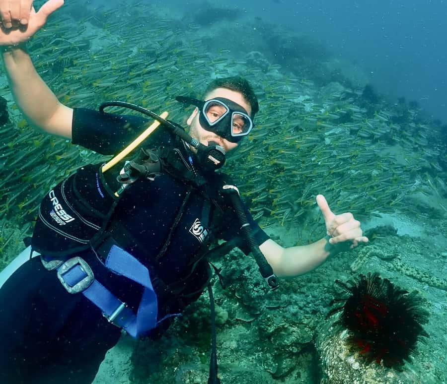 Phuket: Try SCUBA DIVING Full Day Experience 2 Dives - What you will see around Racha Yai