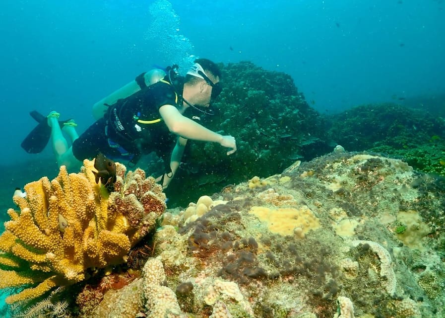 Phuket: Try SCUBA DIVING Full Day Experience 2 Dives - Who should book this beginner session