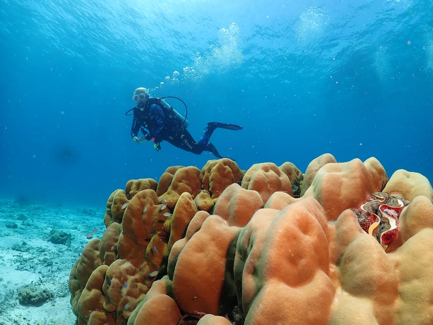 Phuket: Try SCUBA DIVING Full Day Experience 3 Dives - First underwater session at Racha Yai