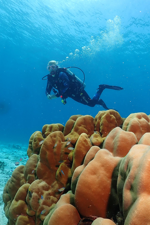 Phuket: Try SCUBA DIVING Full Day Experience 3 Dives - Lunch and a useful break between sessions