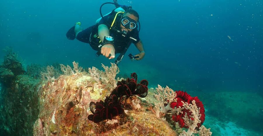 Phuket: Try SCUBA DIVING Full Day Experience 3 Dives - From hotel pickup to Chalong Pier
