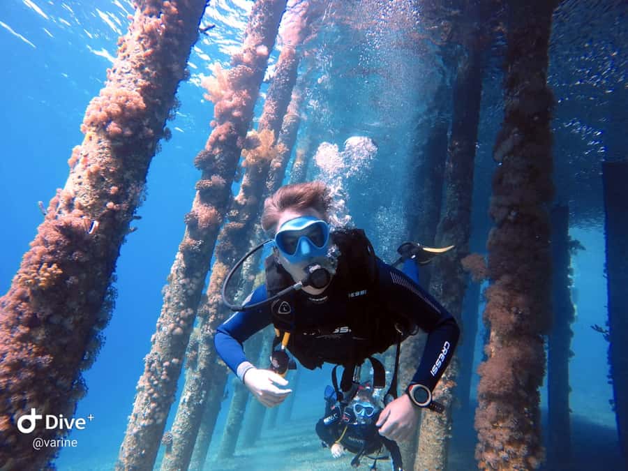 Pivate scuba diving in the Red Sea of Aqaba - Meeting Aqaba Pro Divers for a Red Sea outing