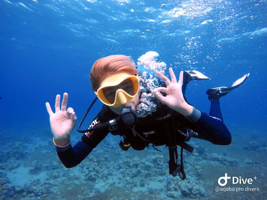 Pivate scuba diving in the Red Sea of Aqaba - The people guiding the session