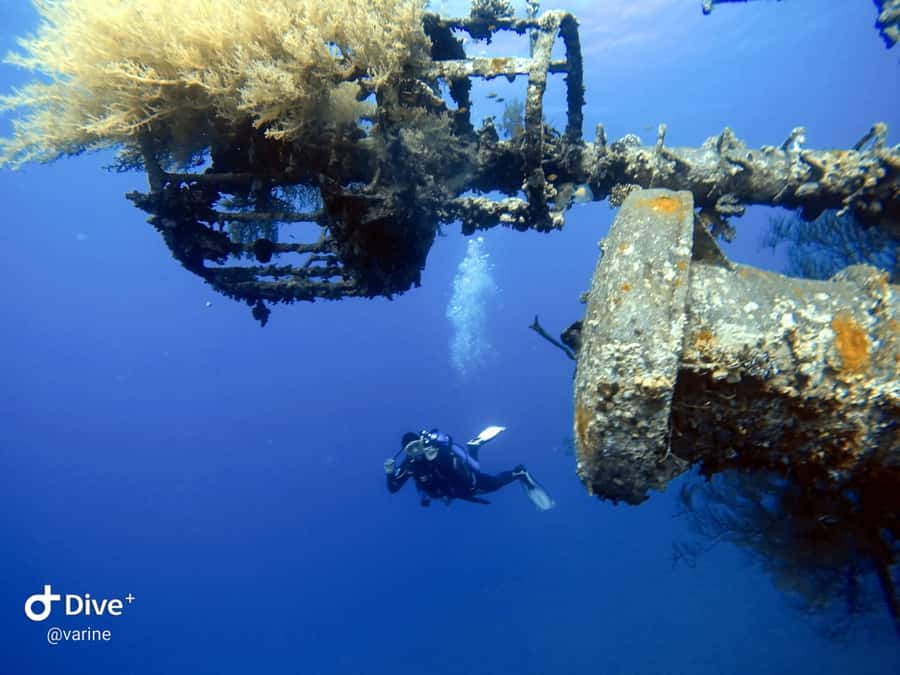 Pivate scuba diving in the Red Sea of Aqaba - Coral reefs and the Cedar Pride wreck