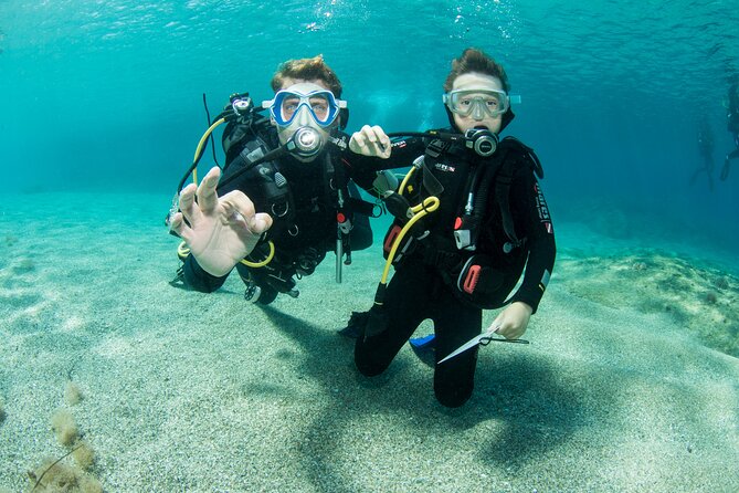 Plakias: Try Scuba Diving first time - Private, from 8 yrs. - Is $174.03 a fair price?