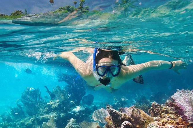 Platinum Power Shore Adventure, Hookah Diving, and Snorkeling - The second 40 minutes: snorkeling, hookah time, and the catamaran