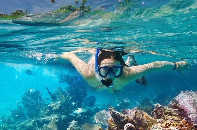 Platinum Power Shore Adventure, Hookah Diving, and Snorkeling - The final 50 minutes: fruit, drinks, and a natural pool