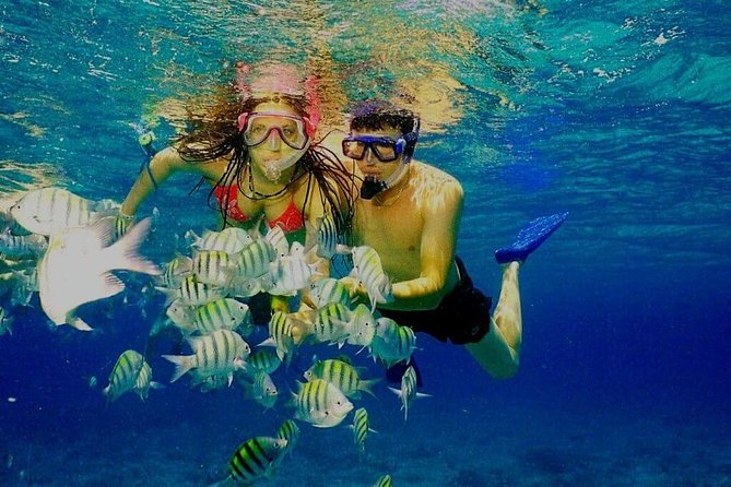 Platinum Power Shore Adventure, Hookah Diving, and Snorkeling - Returning to Bavaro Beach and your hotel