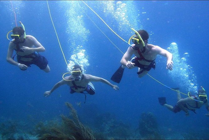 Platinum Power Shore Adventure, Hookah Diving, and Snorkeling - Is $108 a fair price?