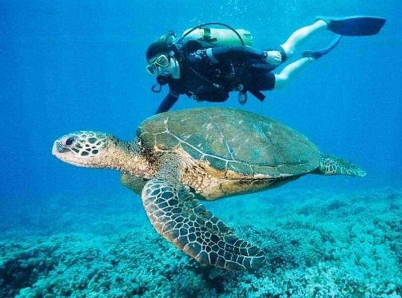 Playa del Carmen: Cenote Diving for Certified Divers - What the two routes actually add