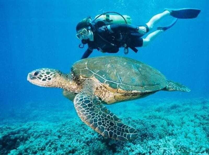 Playa del Carmen: Cenote Diving for Certified Divers - Who will enjoy this experience most
