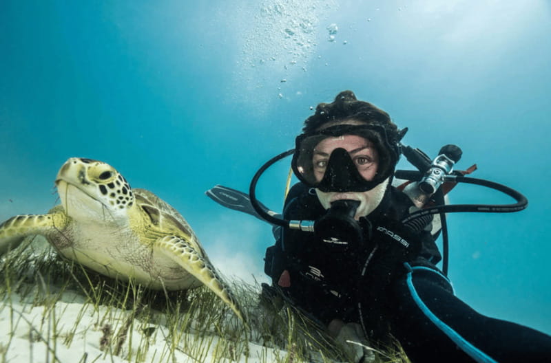 Playa del Carmen: Guided Reef Diving for Certified Divers - Key points to know before booking