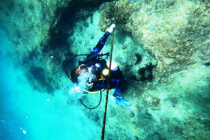 Pleasure Scuba Diving in Fujairah for Certified Diver - How the day usually unfolds
