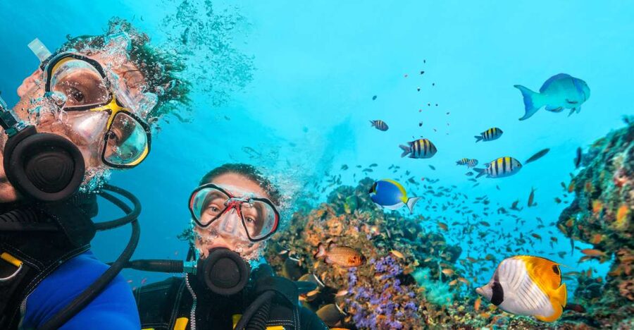 Polignano a Mare: Scuba Experience with certification - Key points to know before you book